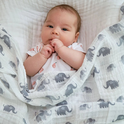 Elephantastic Baby Swaddle Blanket - Breckenridge Baby